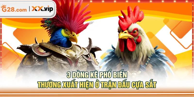 3 dòng kê phổ biến thường xuất hiện ở trận đấu cựa sắt