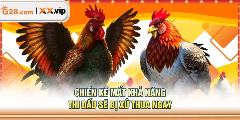 Chiến kê mất khả năng thi đấu sẽ bị xử thua ngay