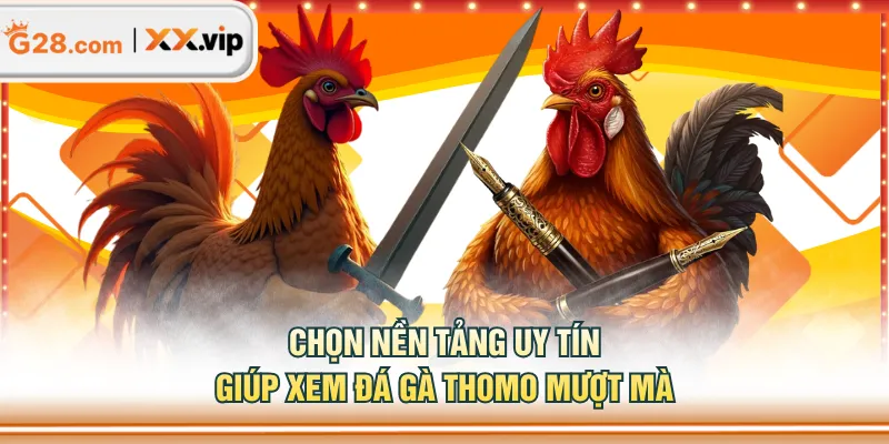 Chọn nền tảng uy tín giúp xem đá gà Thomo mượt mà