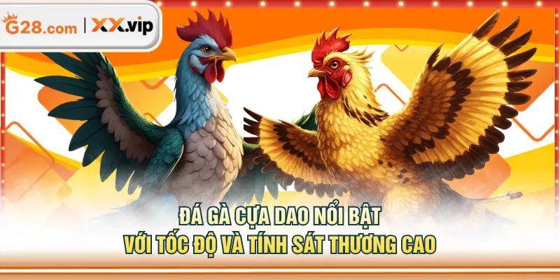 Đá gà cựa dao nổi bật với tốc độ và tính sát thương cao
