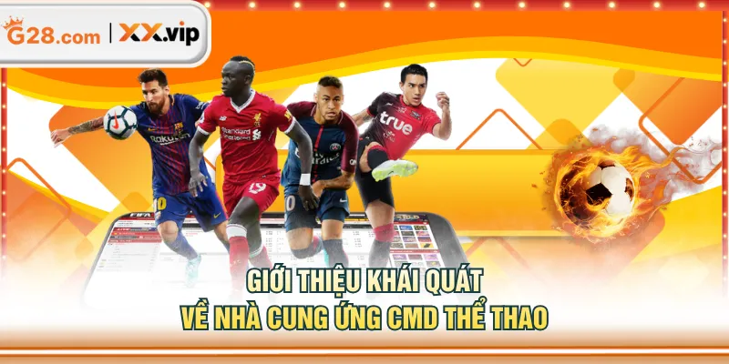 Giới thiệu khái quát về nhà cung ứng CMD Thể Thao